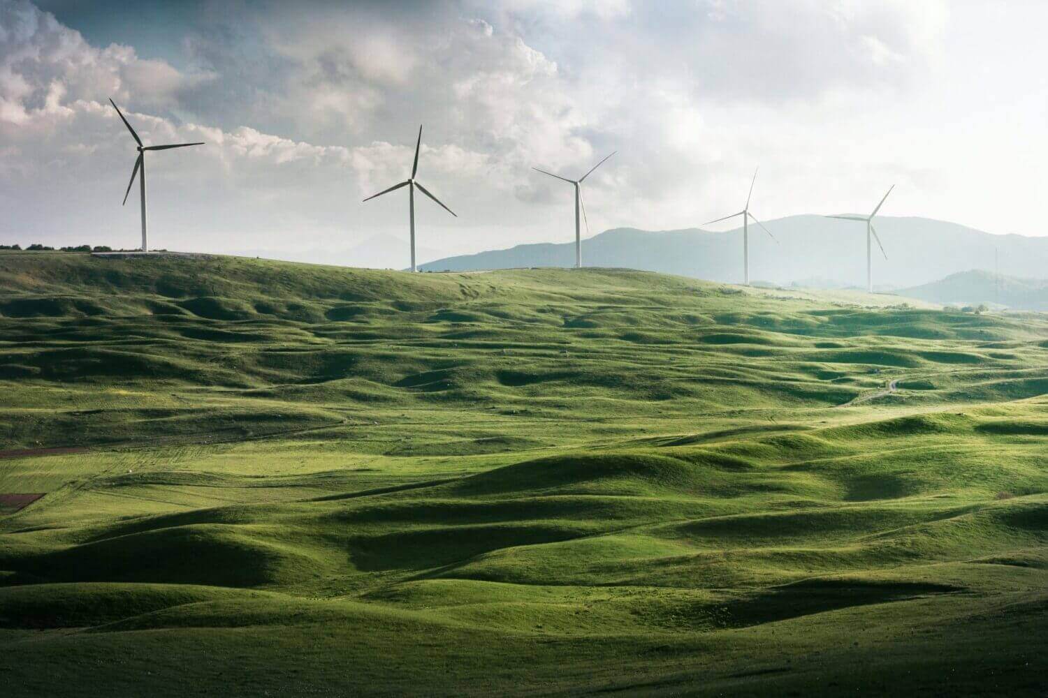 Sustainable Supply Chain Strategy: 7 Steps to Build ESG Into Every Link